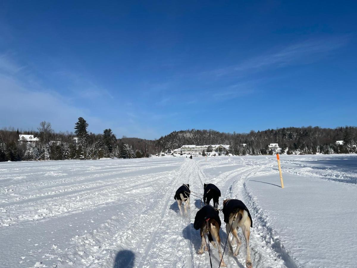 Pourvoirie Du Lac Blanc Saint-Alexis-des-Monts Eksteriør bilde